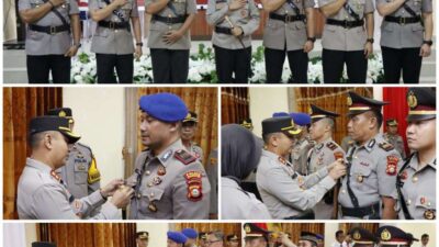 Compress_20230401_163200_0734