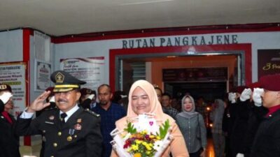 IMG-20241229-WA0008