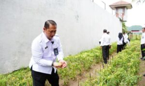 IMG-20250326-WA0176