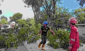 Compress_20250507_082655_5500