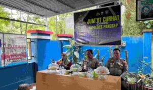 Compress_20250509_154611_1389
