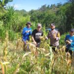 IMG-20250702-WA0028
