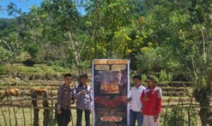 IMG-20250919-WA0101