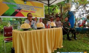 IMG-20251212-WA0187