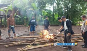 IMG-20251222-WA0255