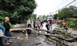 IMG-20260120-WA0160