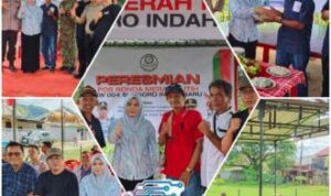 Compress_20260217_125201_1451
