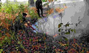Compress_20260907_061316_6708