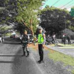 Compress_20260928_111323_3240