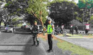 Compress_20260928_111323_3240