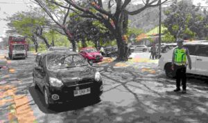Compress_20260929_075243_3595